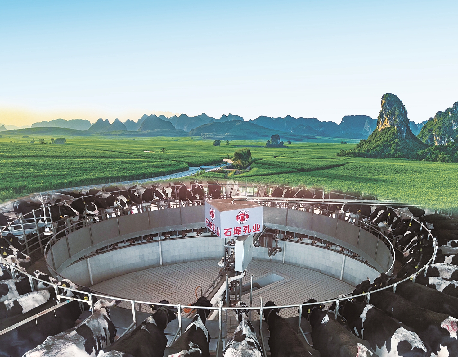 广西石埠乳业
